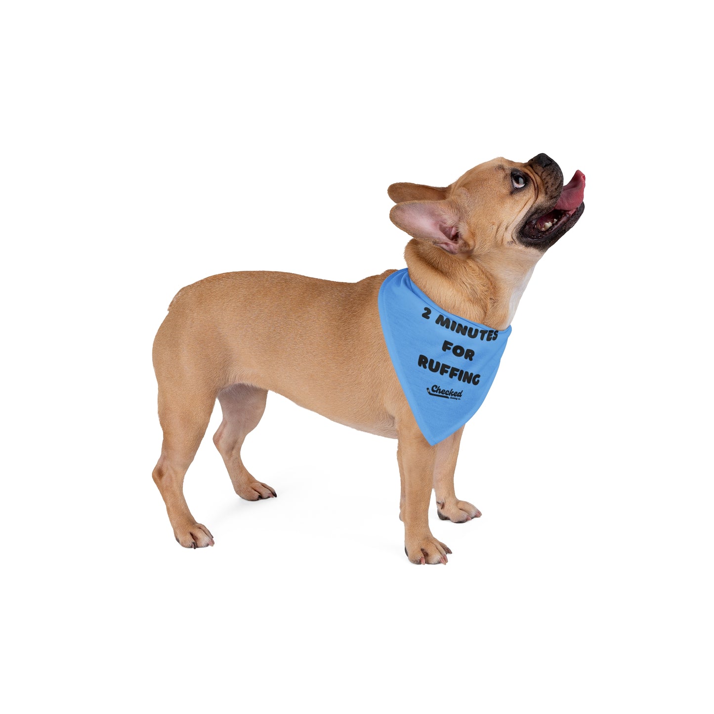 2 Minutes for Ruffing Pet Bandana